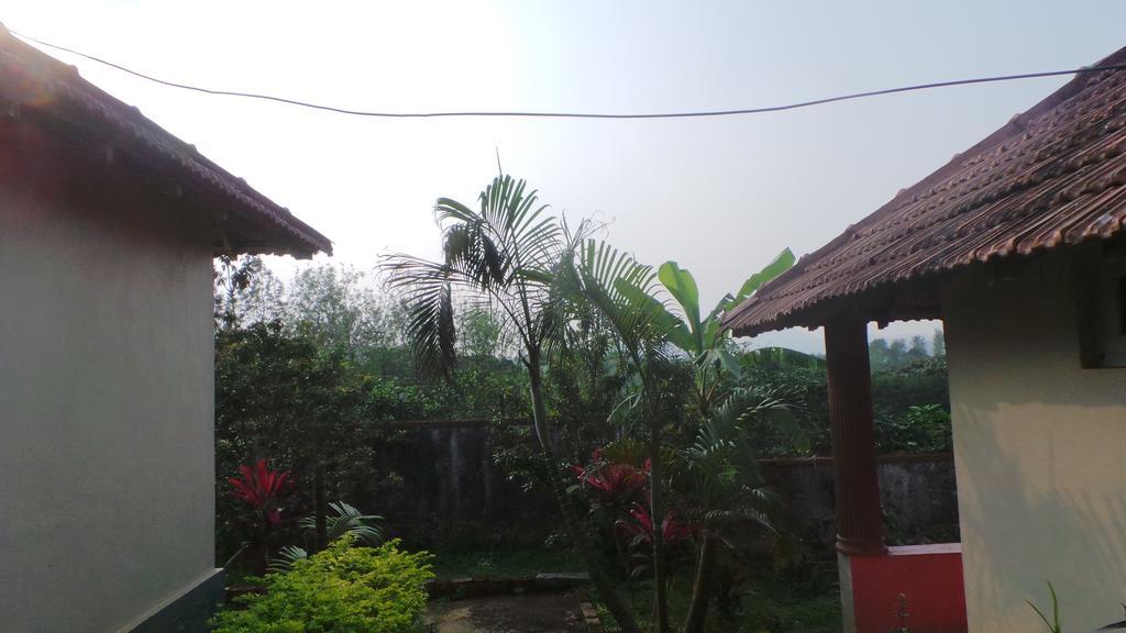 Golf View Cottages Madikeri Kültér fotó
